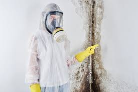 Mold Odor Removal Services in South Glens Falls, NY